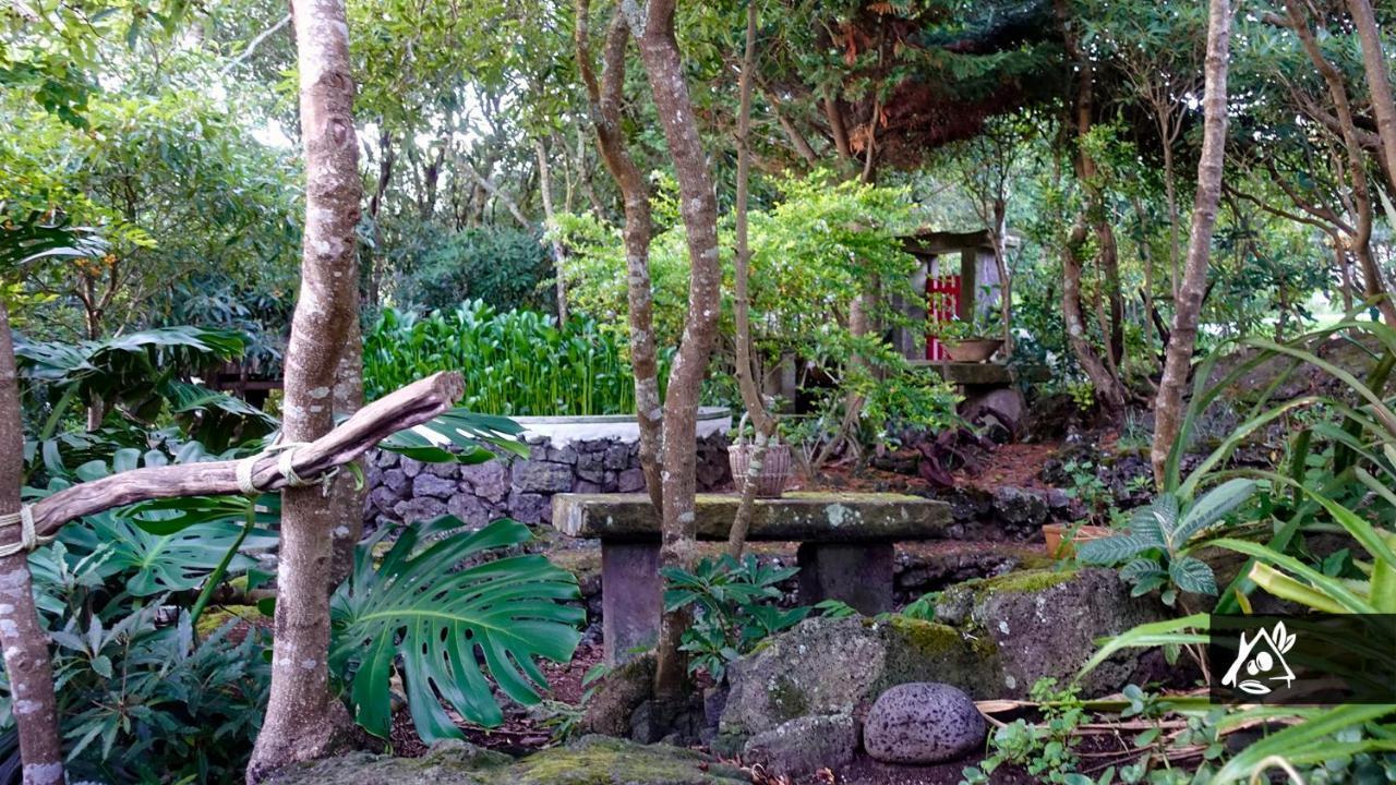 Quinta Do Paraiso Porto Martins 外观 照片